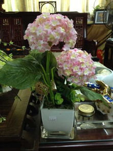 內(nèi)購盛宴 日用百貨超值精選，禮品公司大甩賣等你來！